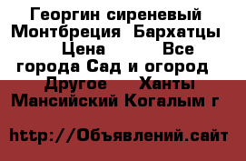 Георгин сиреневый. Монтбреция. Бархатцы.  › Цена ­ 100 - Все города Сад и огород » Другое   . Ханты-Мансийский,Когалым г.